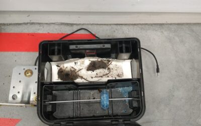 Jak zlikvidovat myši v domě