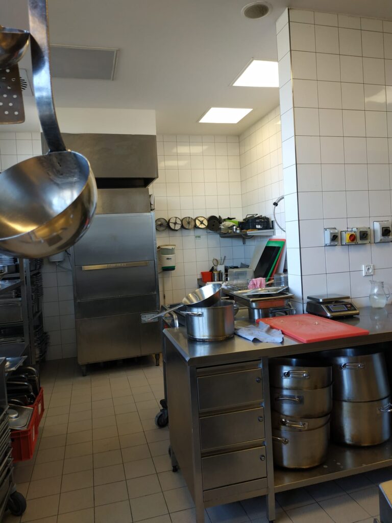 deratizace havířov, černé housenky v bytě, haccp potraviny