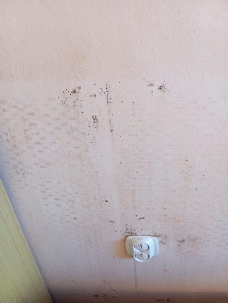 dezinsekce štěnic brno, jak vypadá kousnutí od štěnice