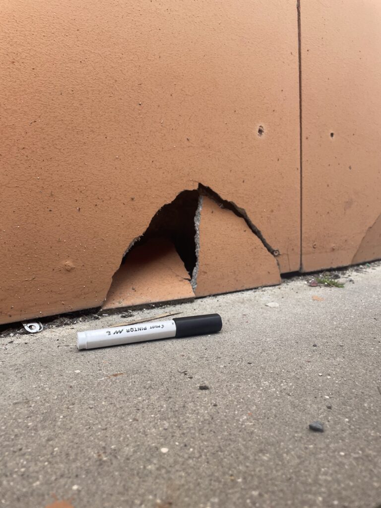 hlodavci, myš ve zdi