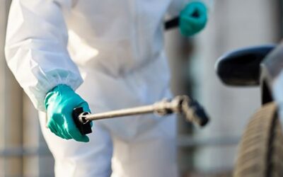 Jak zničit štěnice