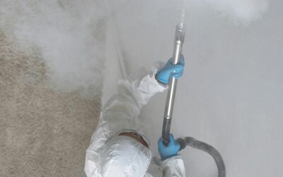 Profesionální postřik na štěnice