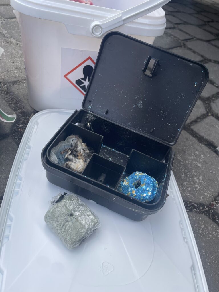 Deratizace Rožnov pod Radhoštěm, hubení myší, hubeni mysi, jak vyhubit myši, hubení myší v domě, jak hubit myši, nejlepší past na potkany, preventivní deratizace pro firmy, system haccp co to jest