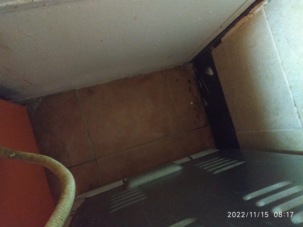 deratizace kroměříž, jak se zbavit myší v domě