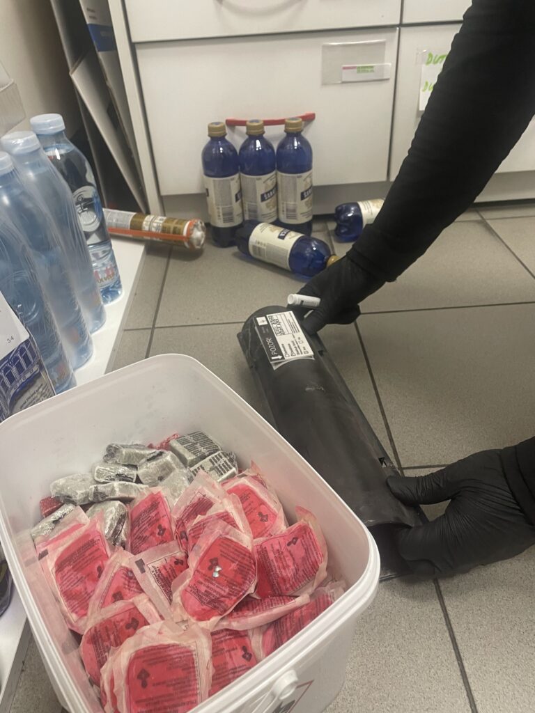 deratizace vsetín, jak hubit myši, hubení myší v domě, jak vyhubit myši, hubeni mysi, hubení myší