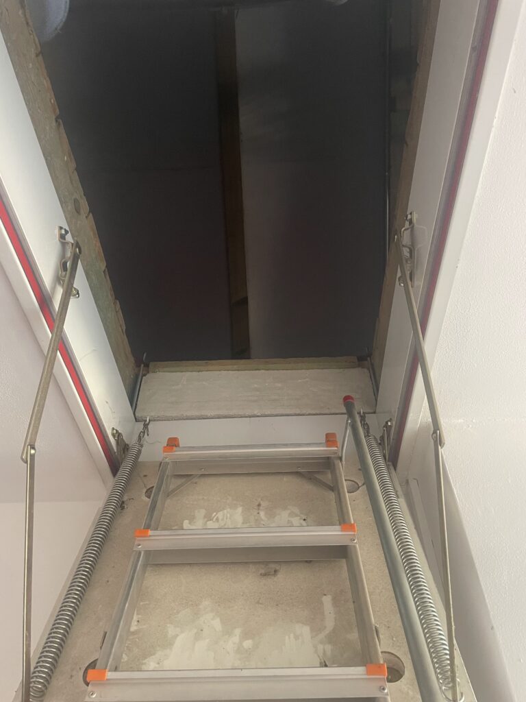 cena deratizace bytu, jak se zbavit myší v bytě