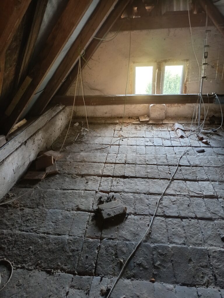 dezinfekce brno, trus kuny