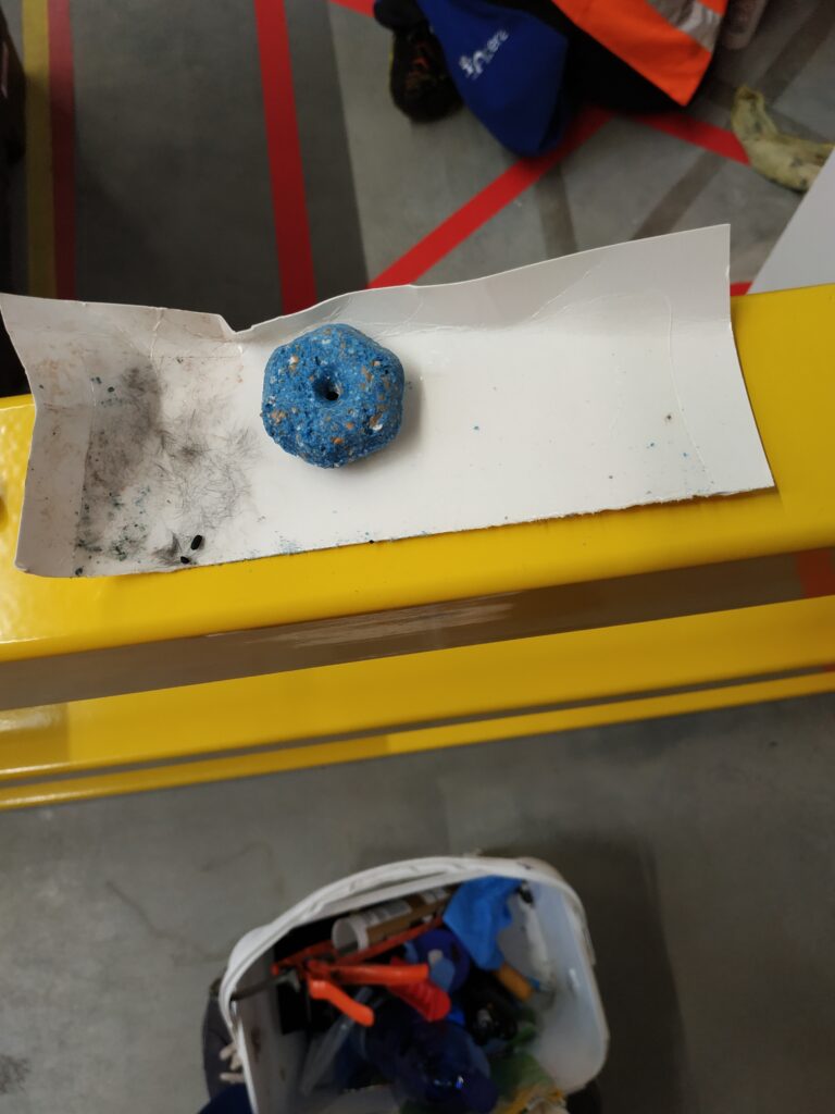 Restaurace deratizace, jak na hlodavce, jak se zbavit krysy