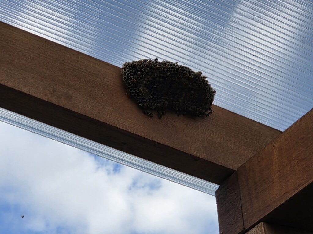 likvidace vos, vosy likvidace