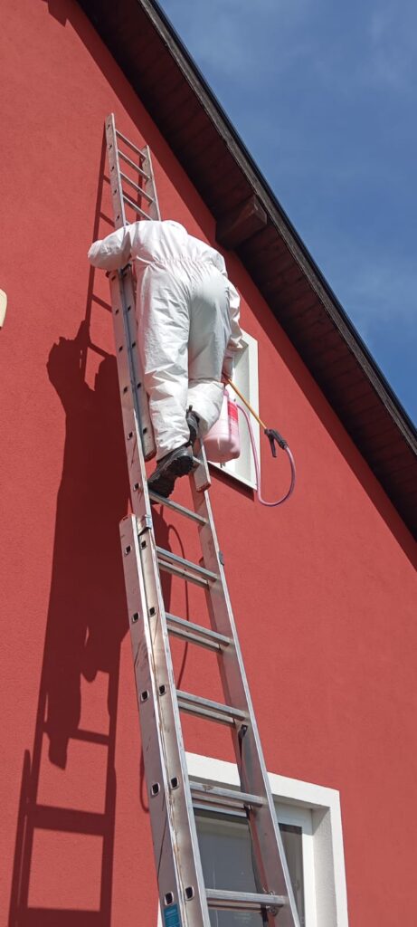 likvidace vos ve střeše, likvidace včel