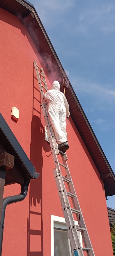 žihadlo vosy, vosi ul