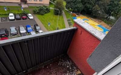 Ochrana proti ptactvu