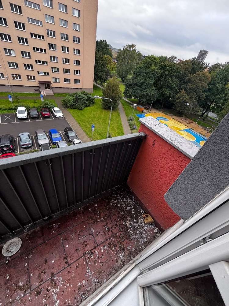 ochrana budov proti ptactvu, ochrana fasád proti ptactvu, ochrana fasády proti ptactvu, ochrana proti ptactvu, ptačí trus, ochrana budov proti ptactvu