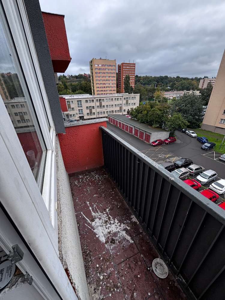 likvidace holubího trusu cena, ptačí trus