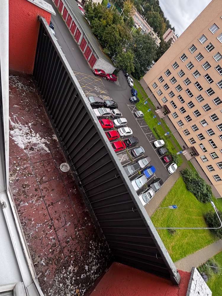 likvidace holubího trusu cena