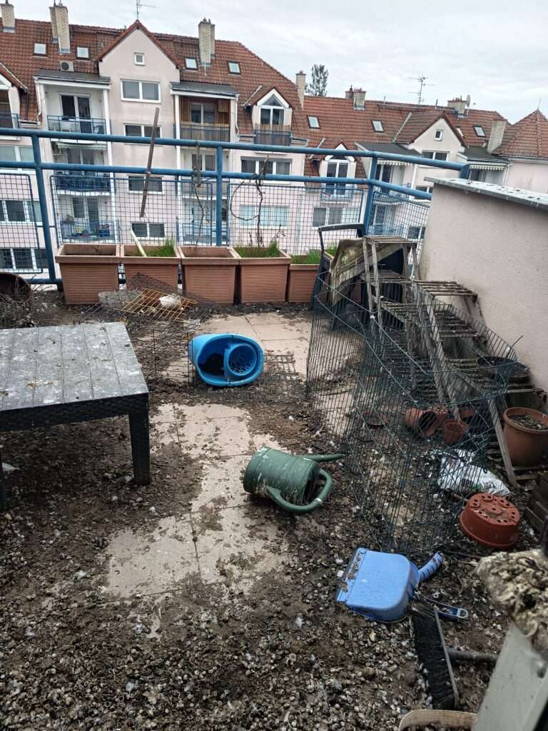 ochranný pás proti ptákům, ptačí trus